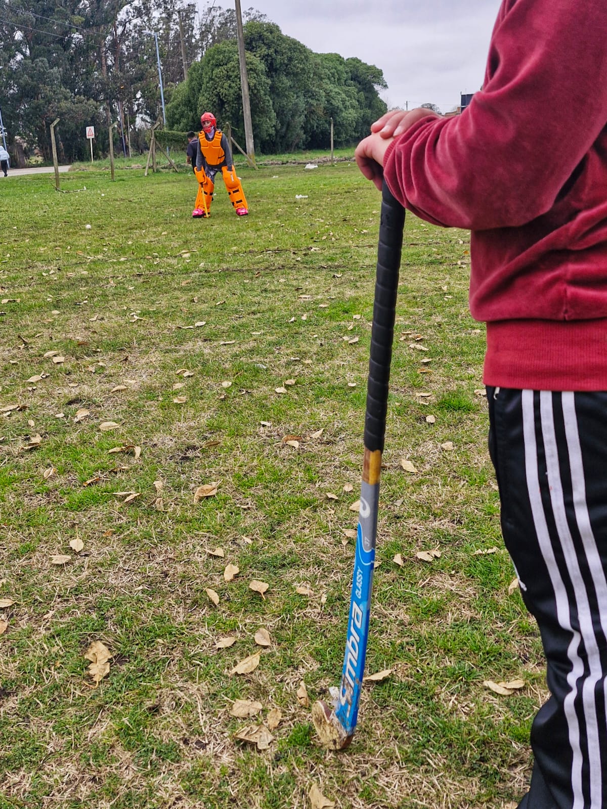 Escuela de Hockey
